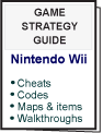 Nintendo Wii Strategy Guides